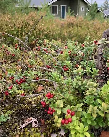Lomamoekit Saimaanranta Suur-saimaa Ferienhaus *