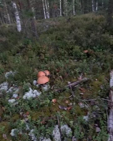 Lomamoekit Saimaanranta Suur-saimaa Taipalsaari