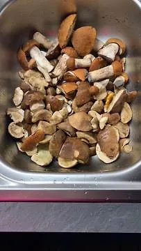 بيت للعطل Lomamoekit Saimaanranta Suur-saimaa Taipalsaari