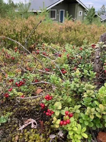 Lomamoekit Saimaanranta Suur-saimaa 度假居 *